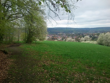 Blick auf Michelstadt/Erbach von der Sophienhöhe